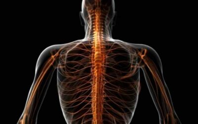 Sclerosi multipla e spasticità: sintomi e suggerimenti